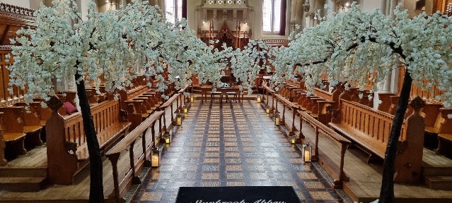 Blossom Trees Blossom Trees